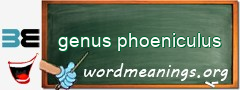 WordMeaning blackboard for genus phoeniculus